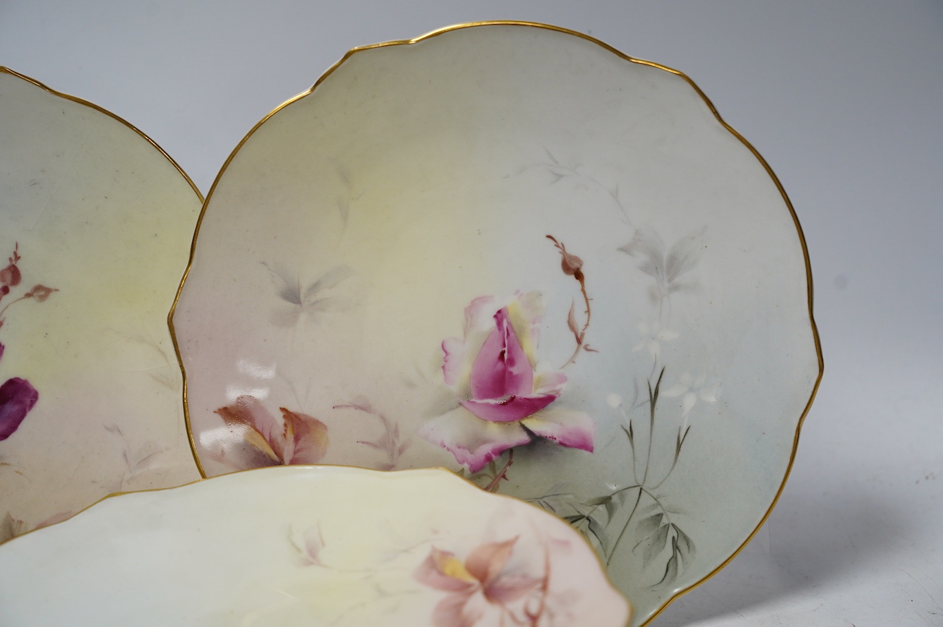 A set of ten Worcester floral cabinet plates, 20cm in diameter. Condition - fair, crazing